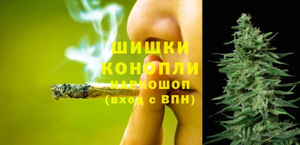 хмурый Верхний Тагил