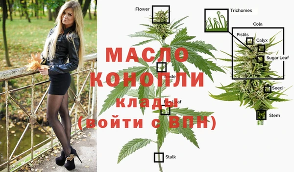 хмурый Верхний Тагил